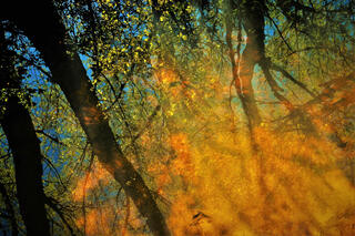 Layered River Reflection