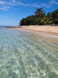 Tropical Tranquility