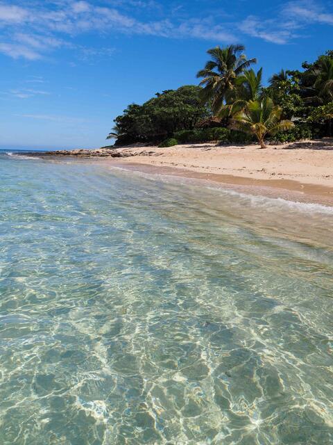 Tropical Tranquility print